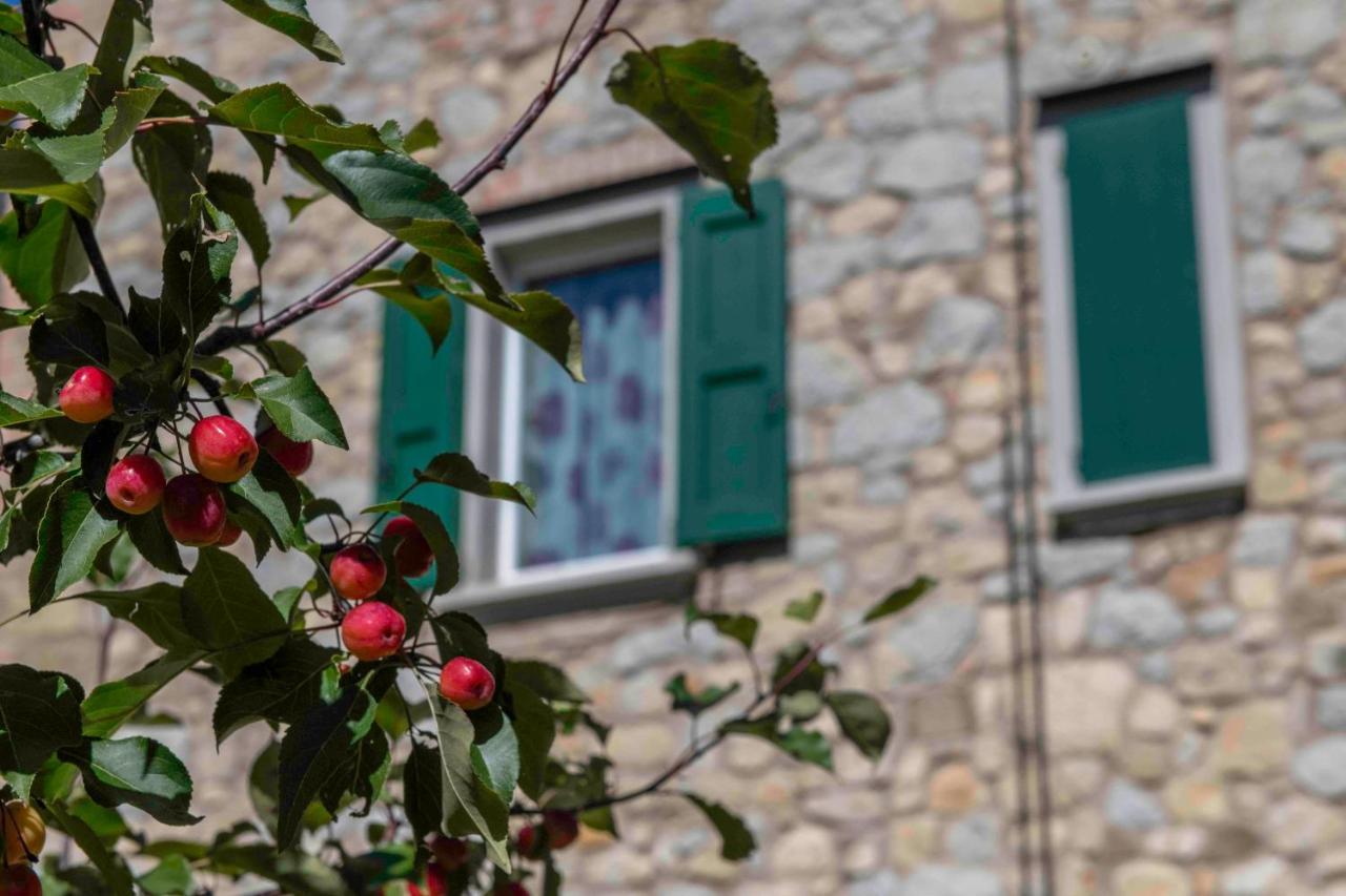 Podere Pratizzoli Tole Exteriér fotografie