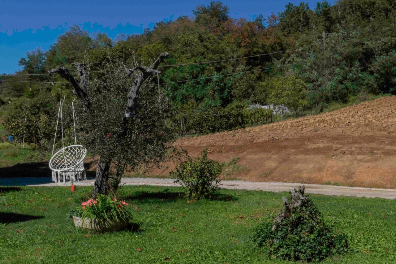 Podere Pratizzoli Tole Exteriér fotografie